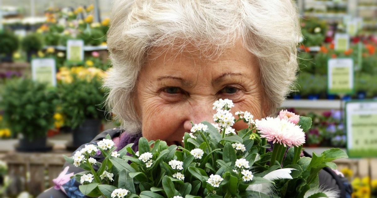 Ukončenie pracovného pomeru so zamestnancom starším ako 65 rokov