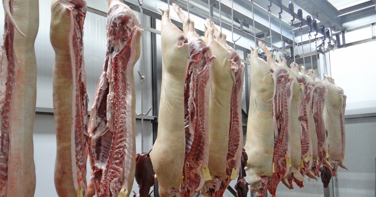 Mecom Group predaj firmy