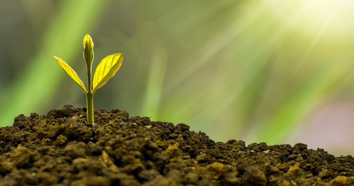 cirkulárna ekonomika